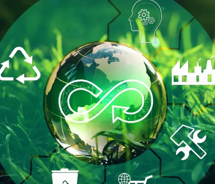 Diplomado en Economía Circular: Liderazgo y Gestión para Territorios Sostenibles