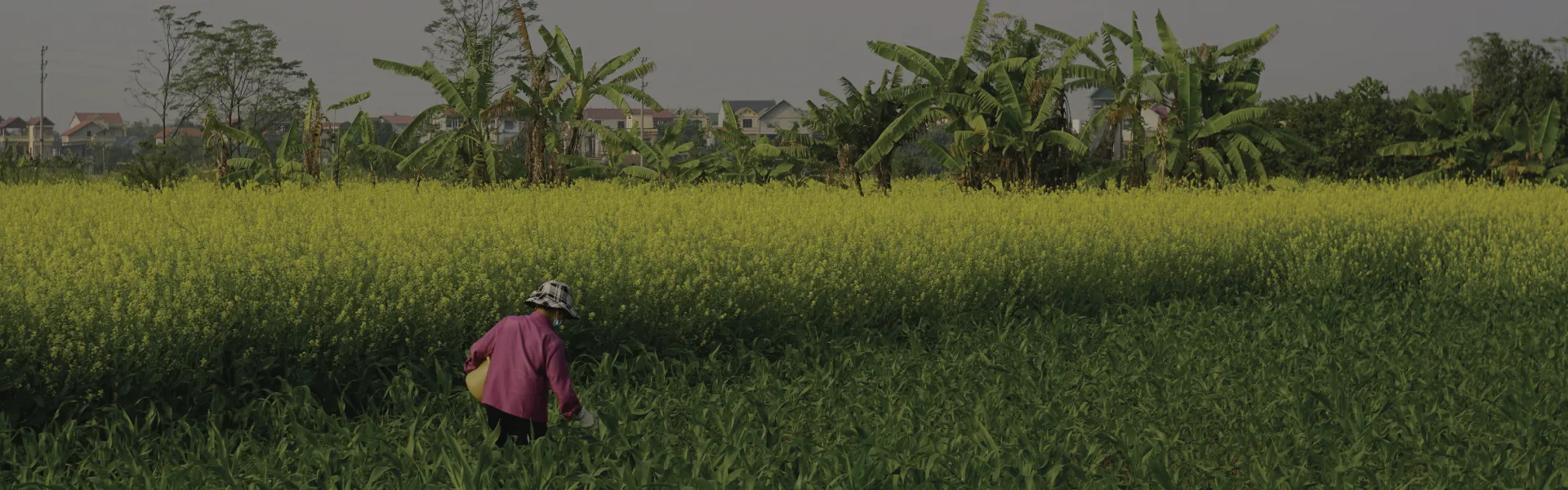 Sostenibilidad Productiva