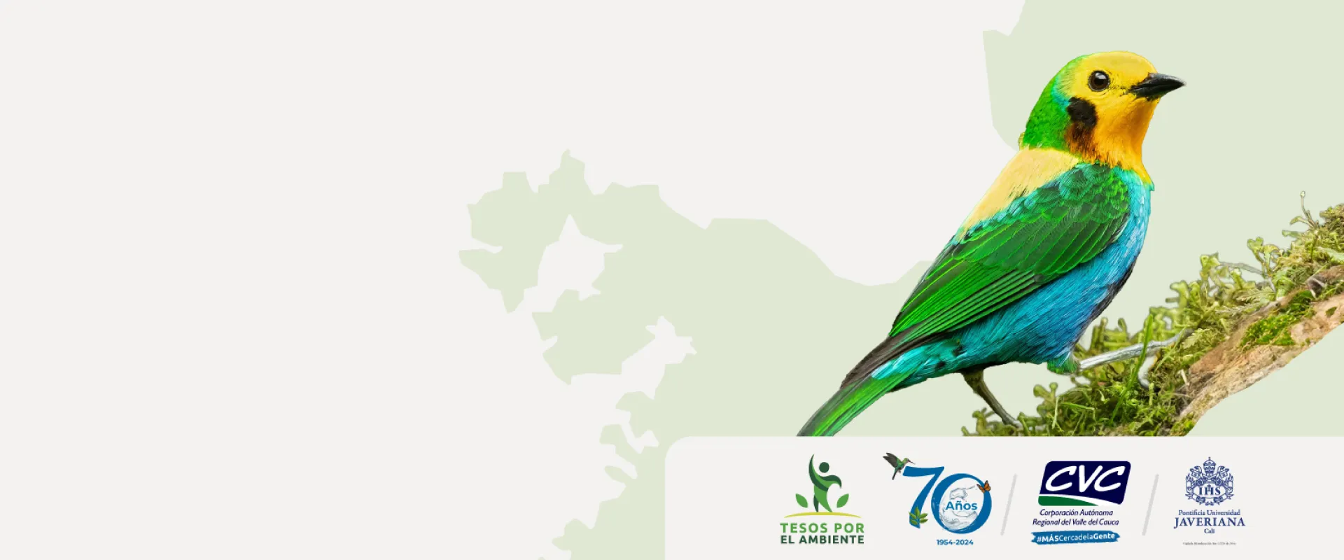 Tesos por el Ambiente  Diplomado gratuito en Educación y Gestión Ambiental