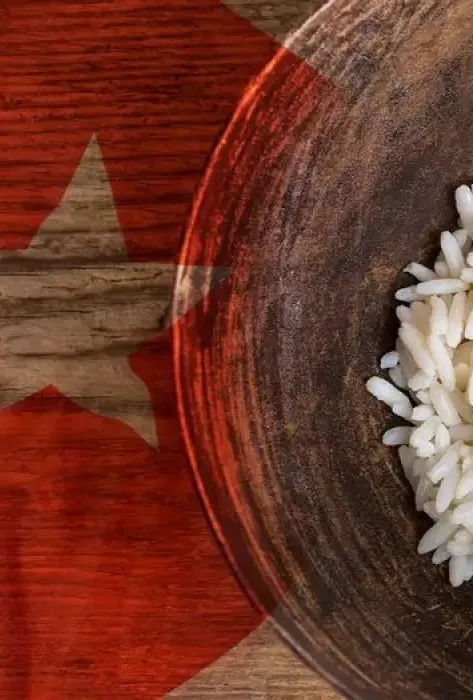 Previsualización-NoticiaAlimento